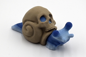 Skull Snail