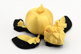 Apple Turtle