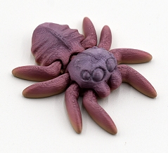 Regular Spider
